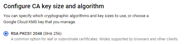 Google Issuing CA Key Size